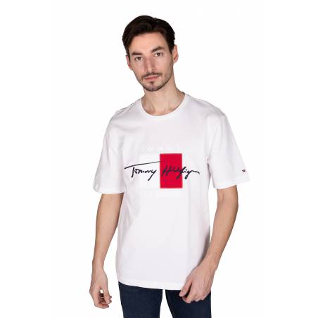 Tommy hilfiger t-shirt męski relaxed MW0MW15331
