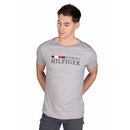 Tommy hilfiger t-shirt męski MW0MW11795