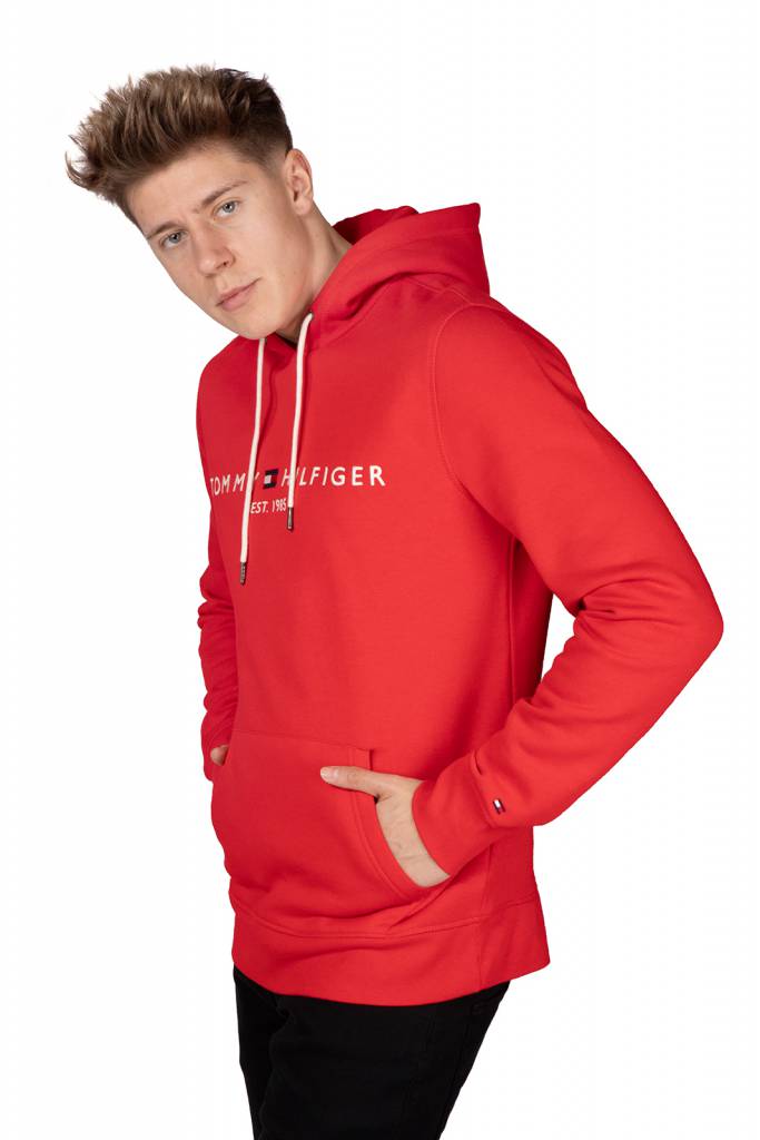 Detal stylizacja tommy hilfiger bluza męska tommy logo hoodie MW0MW11599 Detal stylizacja tommy hilfiger bluza męska tommy logo hoodie MW0MW11599