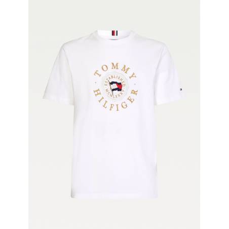 Tommy hilfiger t-shirt męski icon coin tee MW0MW18429