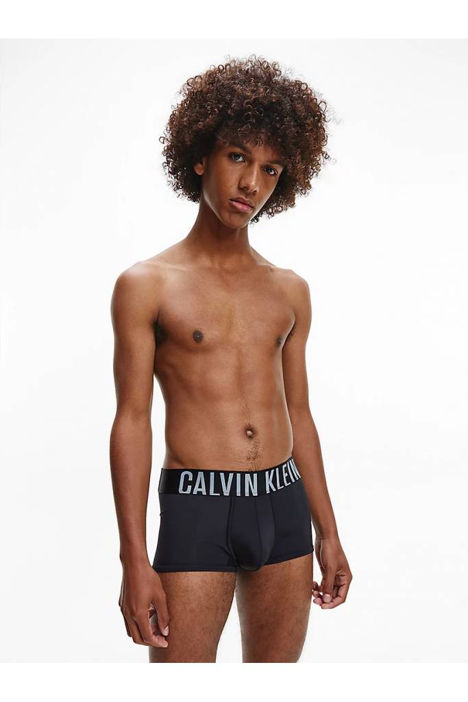 Detal stylizacja bokserki męskie calvin klein underwear trunk 2-pack 000NB2599A