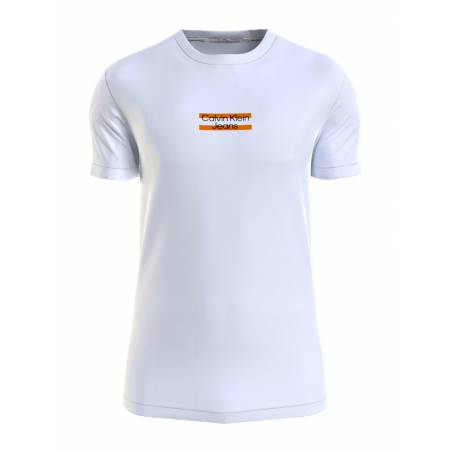 Męski t-shirt transparent stripe calvin klein jeans J30J322872