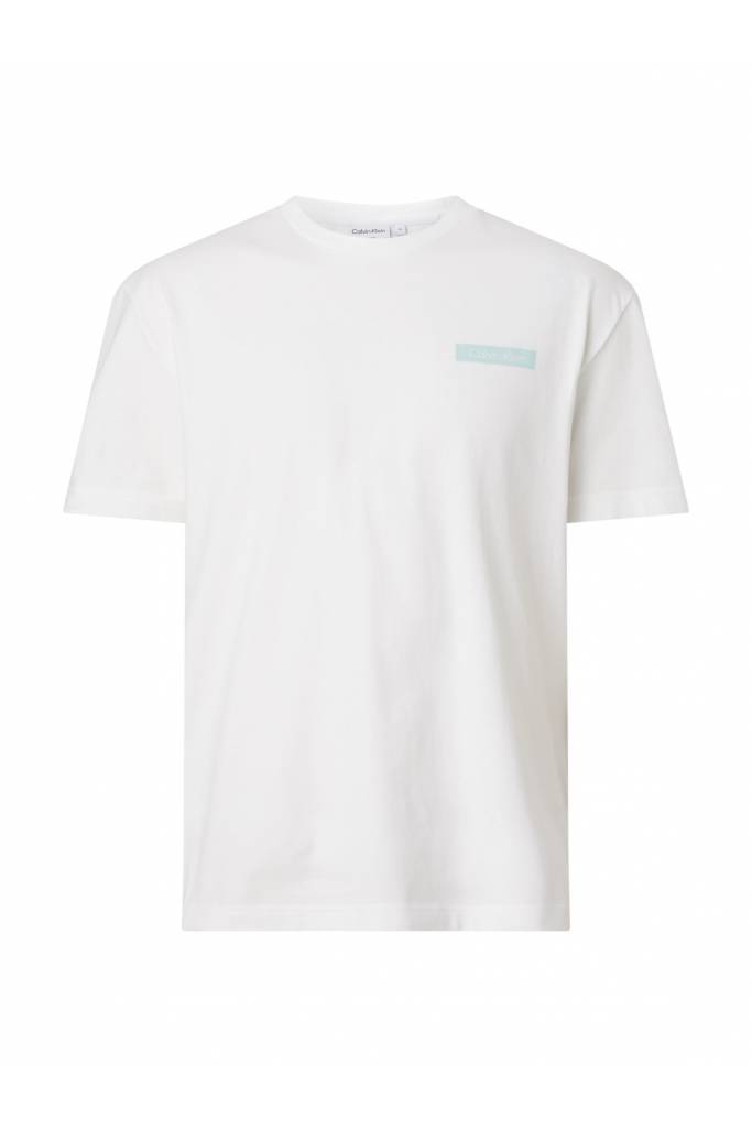 Męski t-shirt matte back logo calvin klein K10K111124 Męski t-shirt matte back logo calvin klein K10K111124