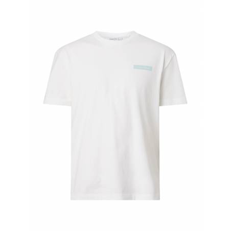 Męski t-shirt matte back logo calvin klein K10K111124
