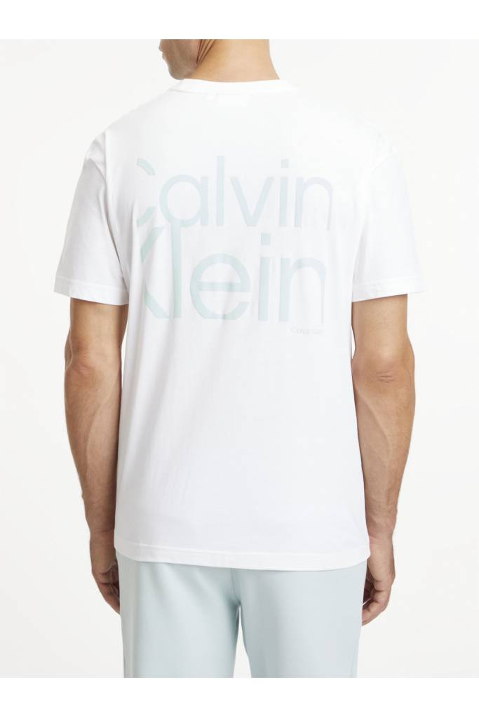 Tył męski t-shirt matte back logo calvin klein K10K111124 Tył męski t-shirt matte back logo calvin klein K10K111124