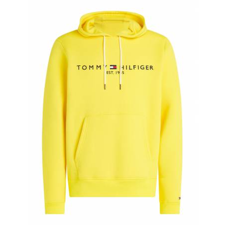 Męska bluza z kapturem logo hoody tommy hilfiger MW0MW11599