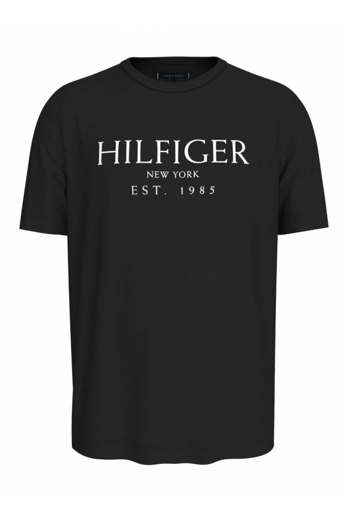 Męski t-shirt big hilfiger tommy hilfiger MW0MW36499