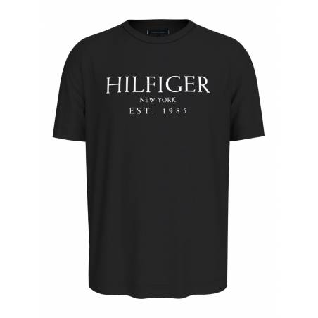 Męski t-shirt big hilfiger tommy hilfiger MW0MW36499