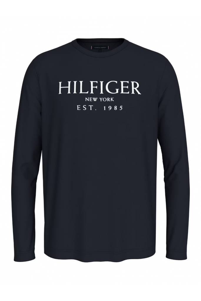 Męski longsleeve big hilfiger tommy hilfiger MW0MW36502