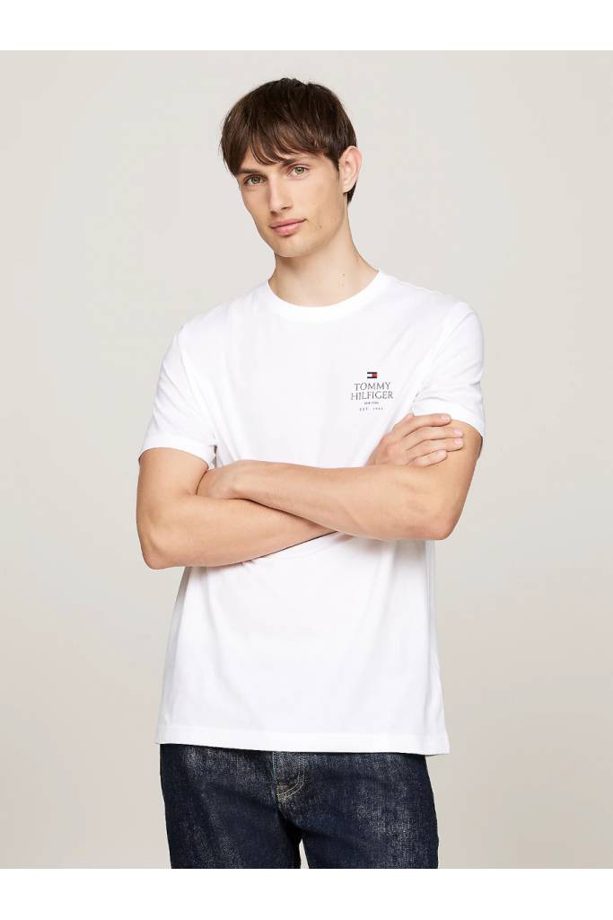 Przód męski t-shirt hilfiger stack tommy hilfiger MW0MW36500