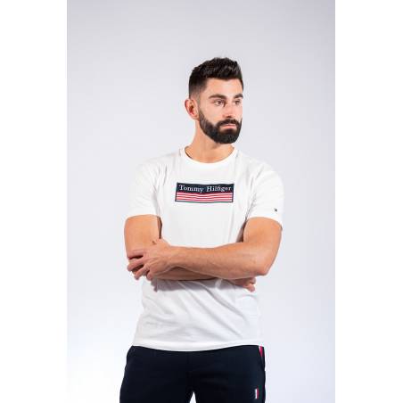 Tommy hilfiger t-shirt striped woven MW0MW14306