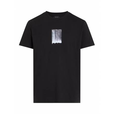 Męski t-shirt brush stroke graphic calvin klein jeans J30J327522
