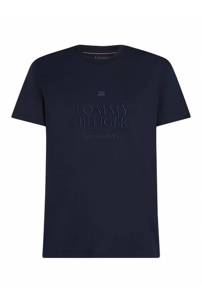 Męski t-shirt embroidery logo tommy hilfiger MW0MW38620