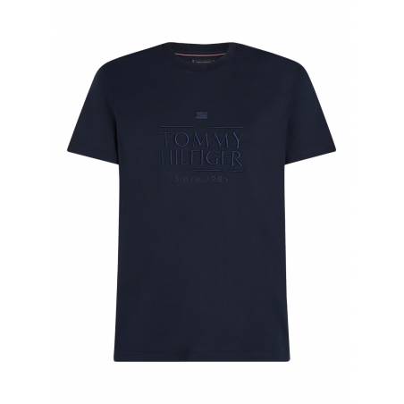 Męski t-shirt embroidery logo tommy hilfiger MW0MW38620