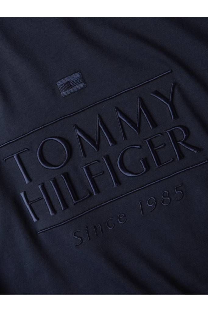 Detal stylizacja męski t-shirt embroidery logo tommy hilfiger MW0MW38620