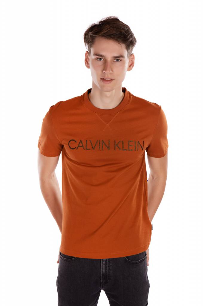 Przód calvin klein t-shirt męski multi embroidery K10K105955