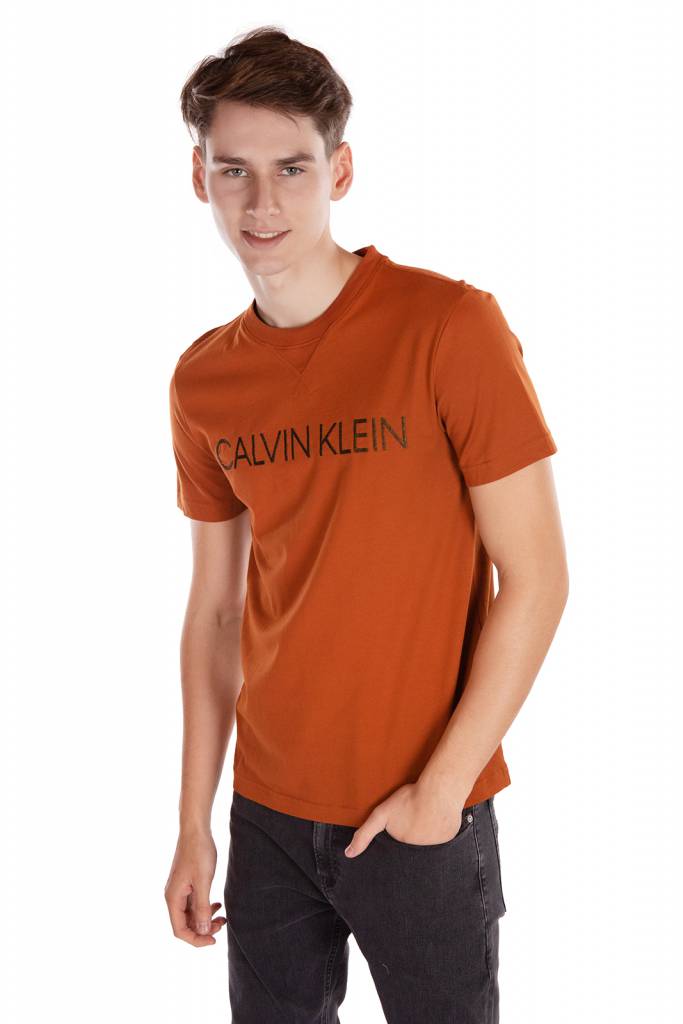 Detal stylizacja calvin klein t-shirt męski multi embroidery K10K105955