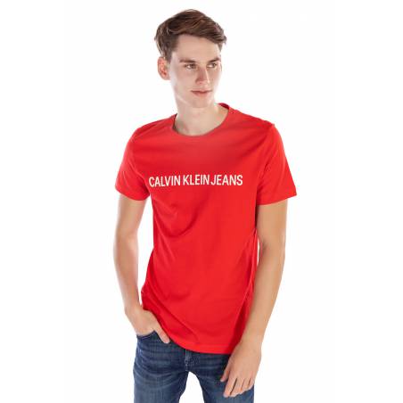 Calvin klein jeans t-shirt institutional J30J307856