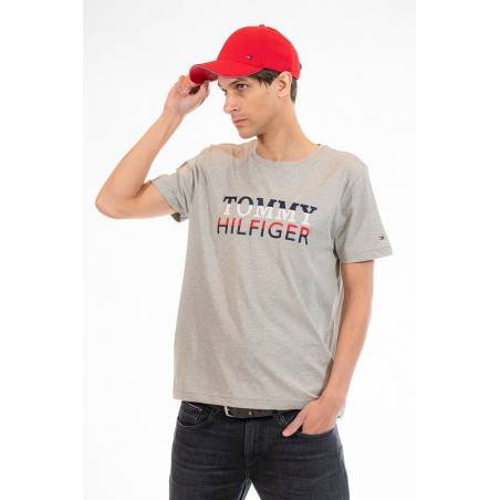 Tommy hilfiger t-shirt embroidered block MW0MW13336