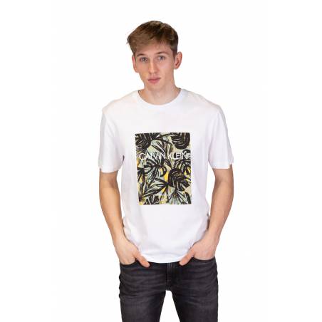 Calvin klein t-shirt leaves box K10K105484