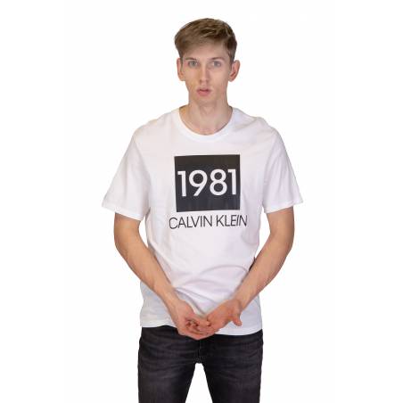 Calvin klein underwear t-shirt męski crew neck 000NM1708E